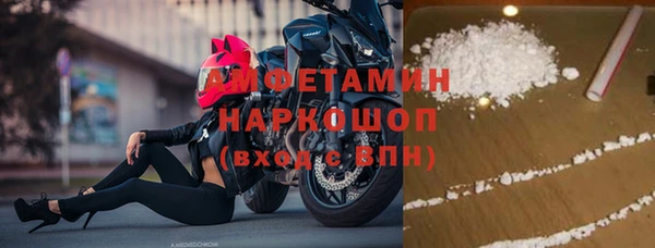стаф Зерноград