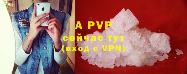 стаф Зерноград