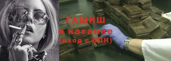 стаф Зерноград