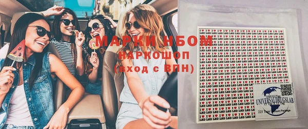 стаф Зерноград
