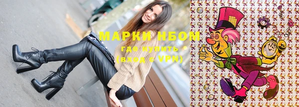 стаф Зерноград
