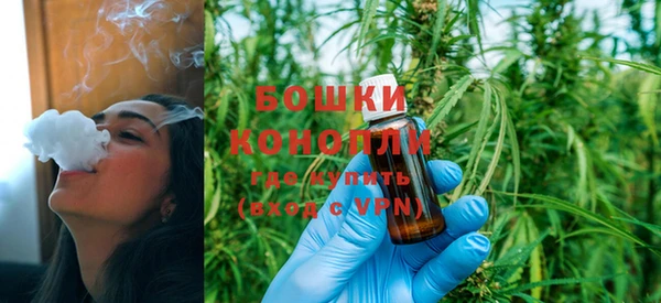 стаф Зерноград
