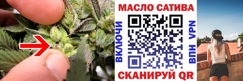 Купить где Закаменск Дистиллят ТГК THC oil
